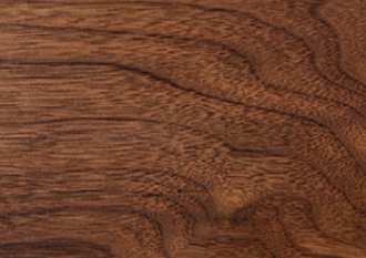 Mahogany Logs are imported from South America and African countries.